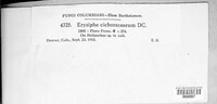 Image Associated With the Occurence